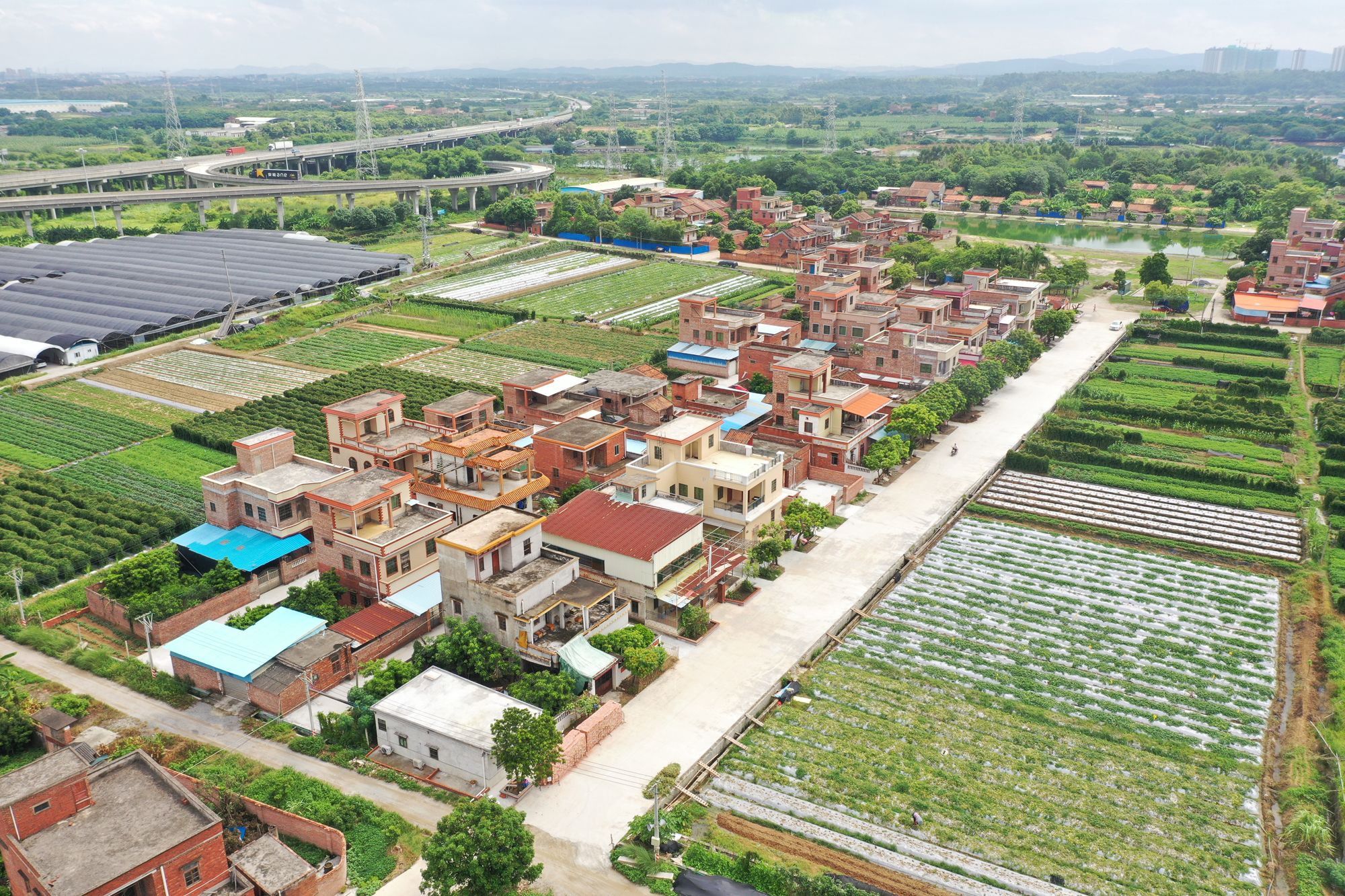 芦苞上塘：巷道实现硬底化 道路得以拓宽 村民乐开怀